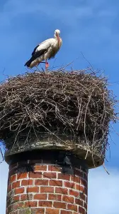 Leentje 09 Park Frankendael